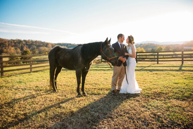 bride and groom with horse