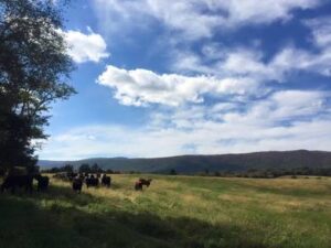 Shenandoah Valley