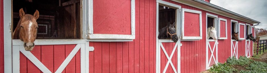 show barn