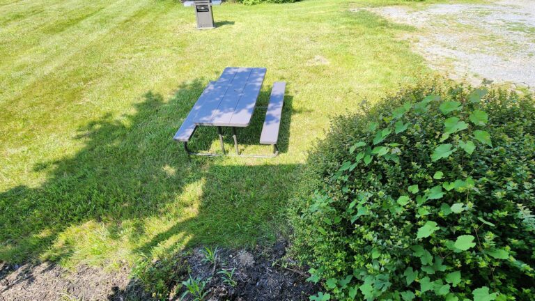 picnic area