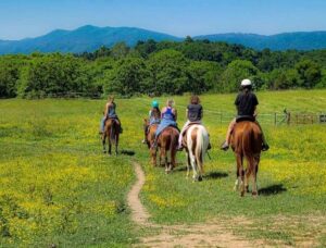 trail ride