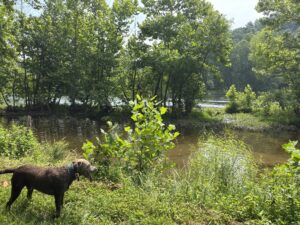 Shenandoah River frontage with friend
