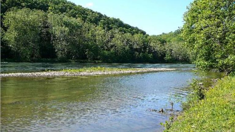 Shenandoah River