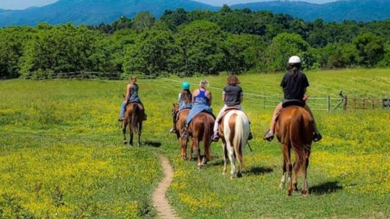 trail ride