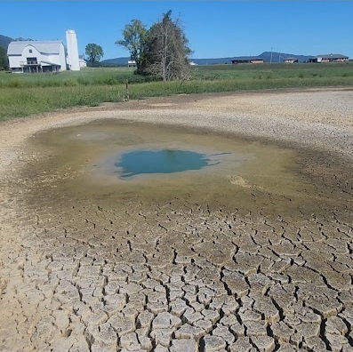 pond restoration project