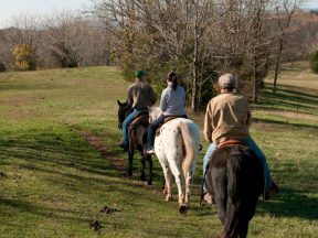 horseback riding