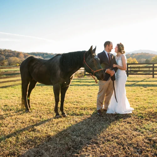 bride and groom with horse