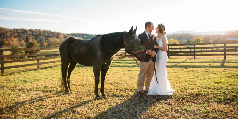bride and groom with horse