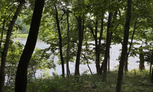 river front woods