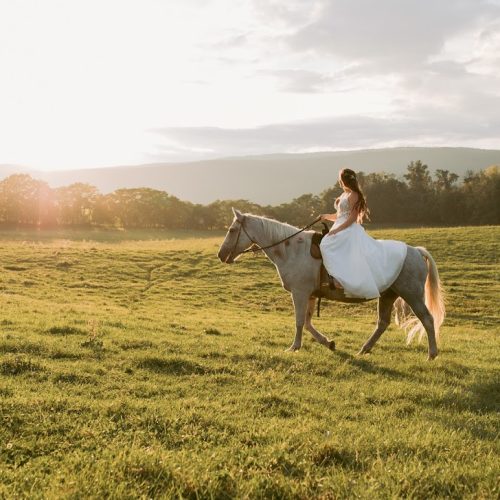 bride riding