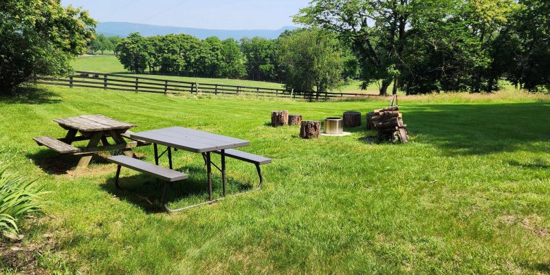 Ranch House 41