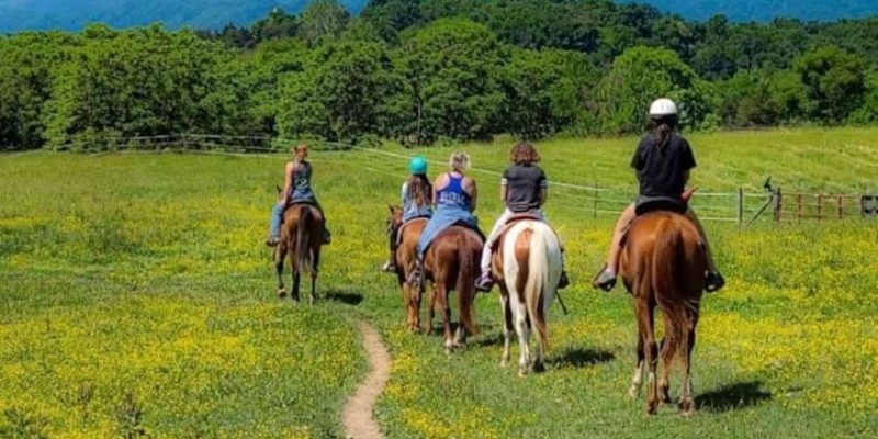 Ranch House 48