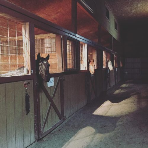 horse barn interior