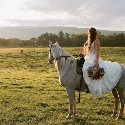 bride on horseback