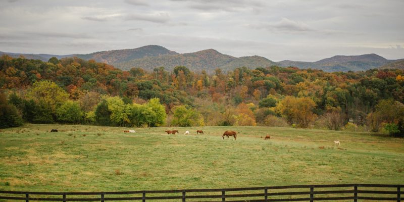 fall at the ranch