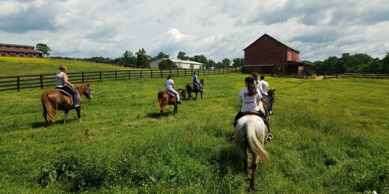 horseback riding