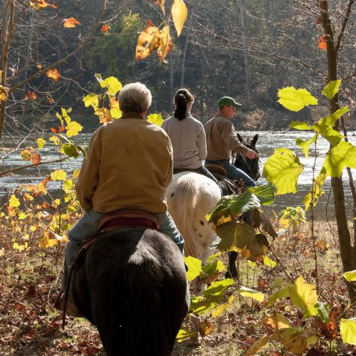 trail riding