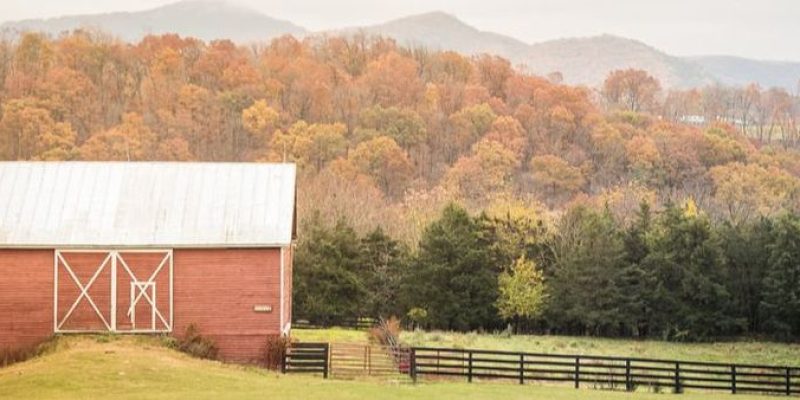 rivers-bend-ranch-show-barn