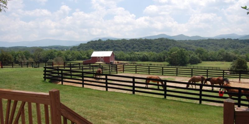 horse corral
